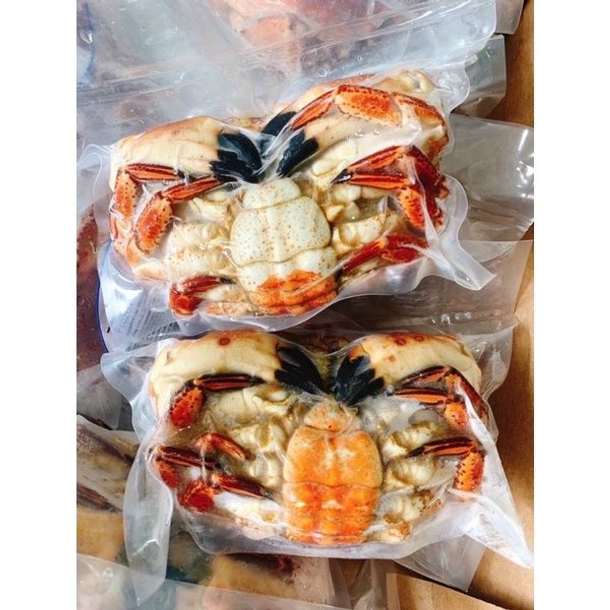 Cua Nâu Nauy bao gạch bao ăn 1 con 900gr đến 1,1kg siêu to ( giao tphcm) Cua Nâu Nauy bao gạch bao ăn 1 con 900gr đến 1,1kg siêu to ( giao tphcm)