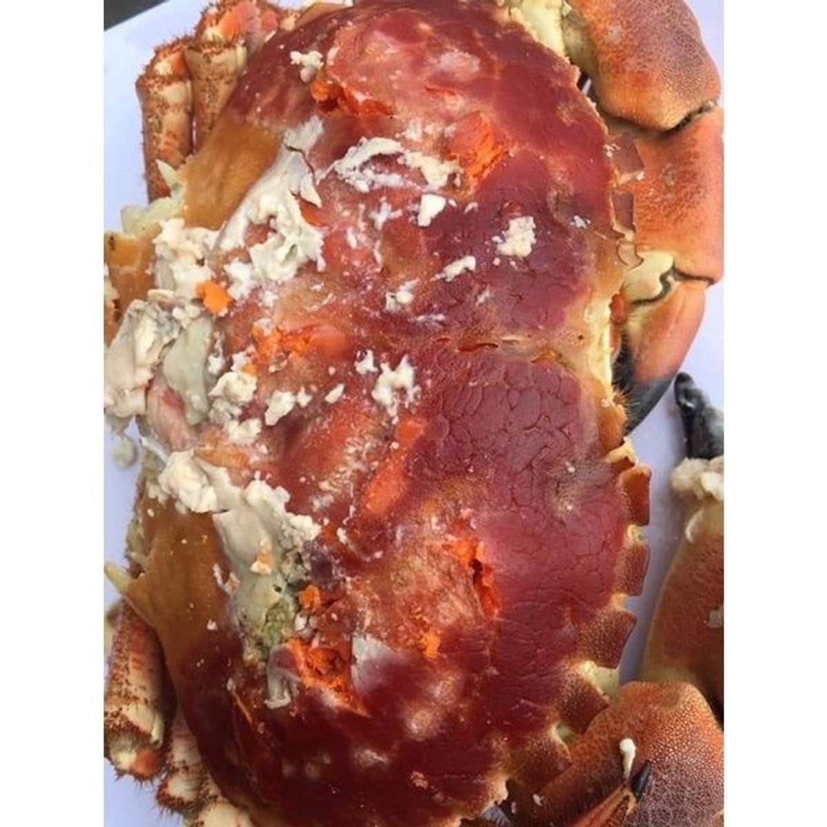 Cua Nâu Nauy bao gạch bao ăn 1 con 900gr đến 1,1kg siêu to ( giao tphcm) Cua Nâu Nauy bao gạch bao ăn 1 con 900gr đến 1,1kg siêu to ( giao tphcm)