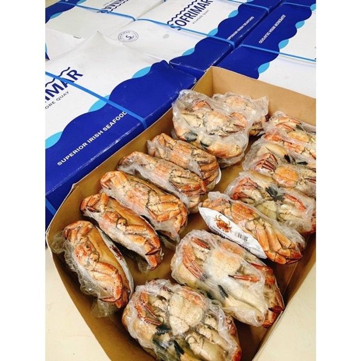 Cua Nâu Nauy bao gạch bao ăn 1 con 900gr đến 1,1kg siêu to ( giao tphcm) Cua Nâu Nauy bao gạch bao ăn 1 con 900gr đến 1,1kg siêu to ( giao tphcm)