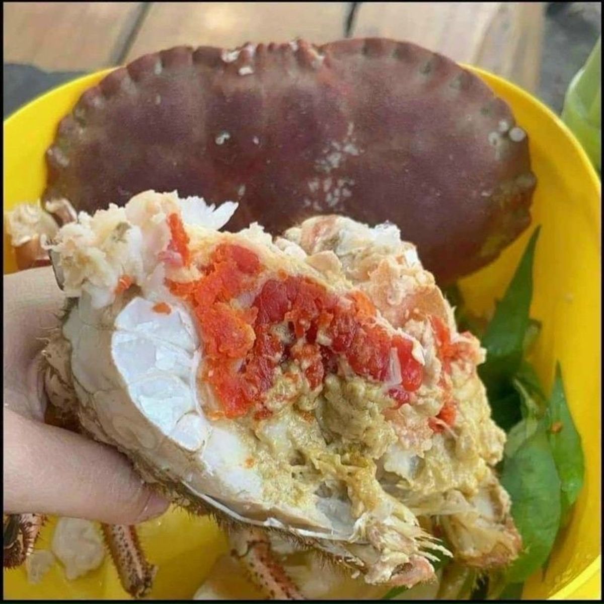 Cua Nâu Nauy bao gạch bao ăn 1 con 900gr đến 1,1kg siêu to ( giao tphcm) Cua Nâu Nauy bao gạch bao ăn 1 con 900gr đến 1,1kg siêu to ( giao tphcm)