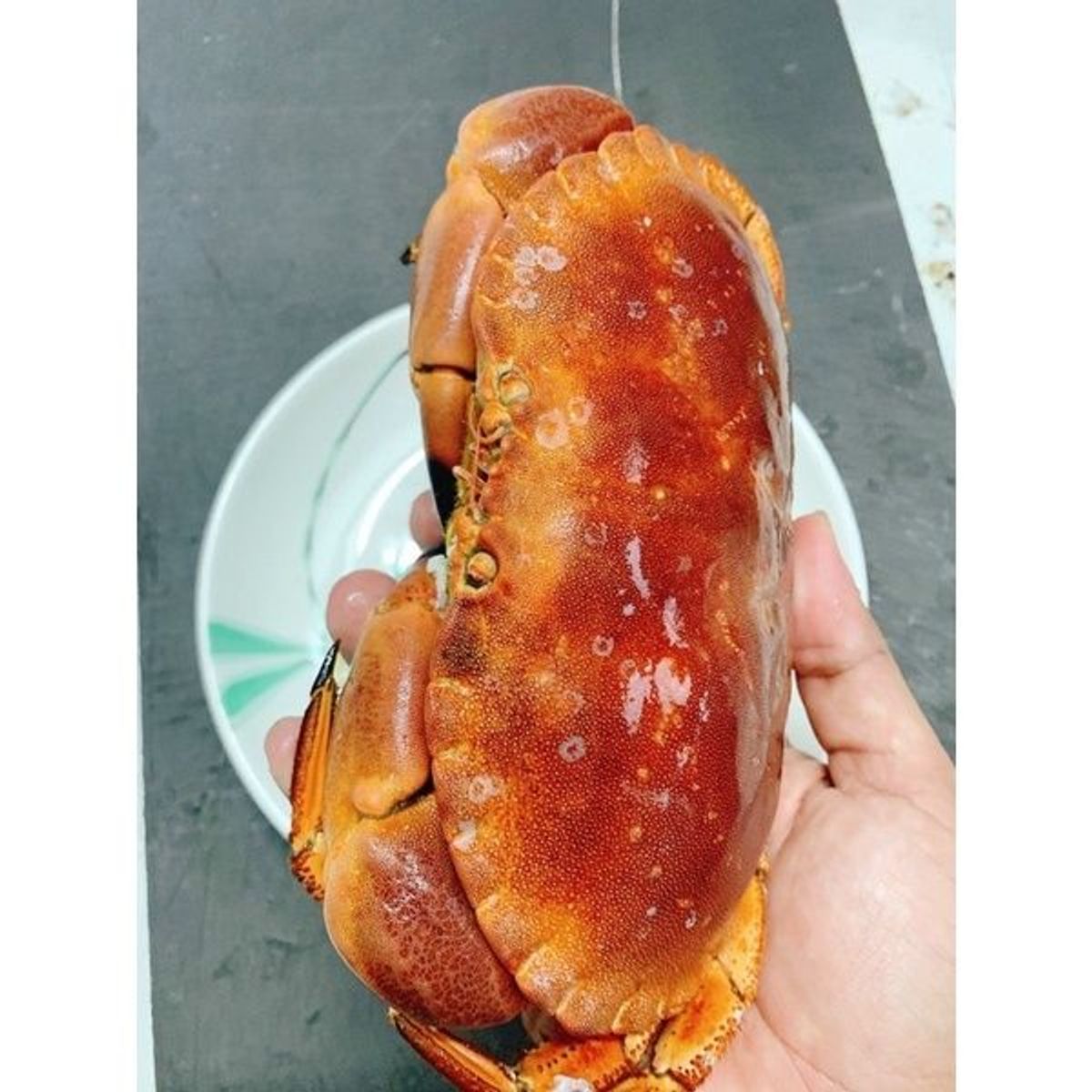 Cua Nâu Nauy bao gạch bao ăn 1 con 900gr đến 1,1kg siêu to ( giao tphcm) Cua Nâu Nauy bao gạch bao ăn 1 con 900gr đến 1,1kg siêu to ( giao tphcm)