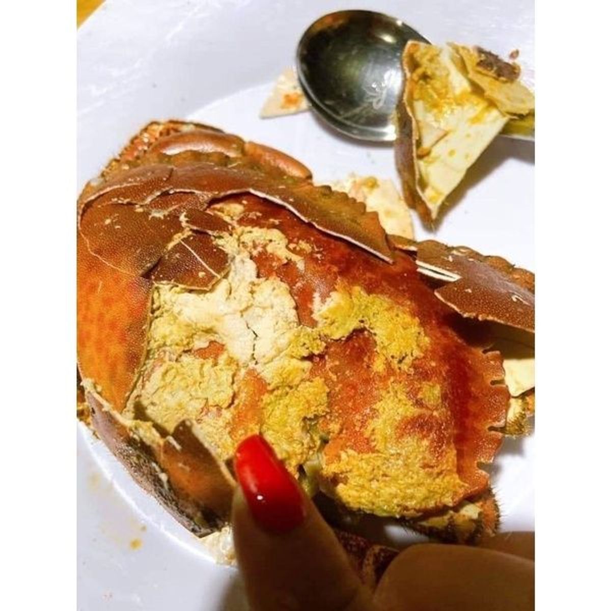 Cua Nâu Nauy bao gạch bao ăn 1 con 900gr đến 1,1kg siêu to ( giao tphcm) Cua Nâu Nauy bao gạch bao ăn 1 con 900gr đến 1,1kg siêu to ( giao tphcm)