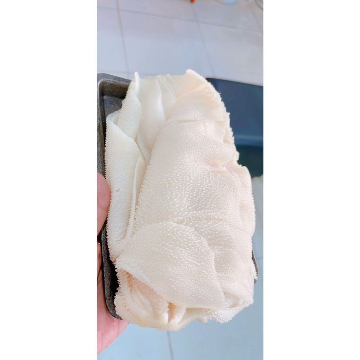1kg Lá Sách Bò trắng,làm sạch,hấp chín,khay 1kg nét đủ 1kg Lá Sách Bò trắng,làm sạch,hấp chín,khay 1kg nét đủ