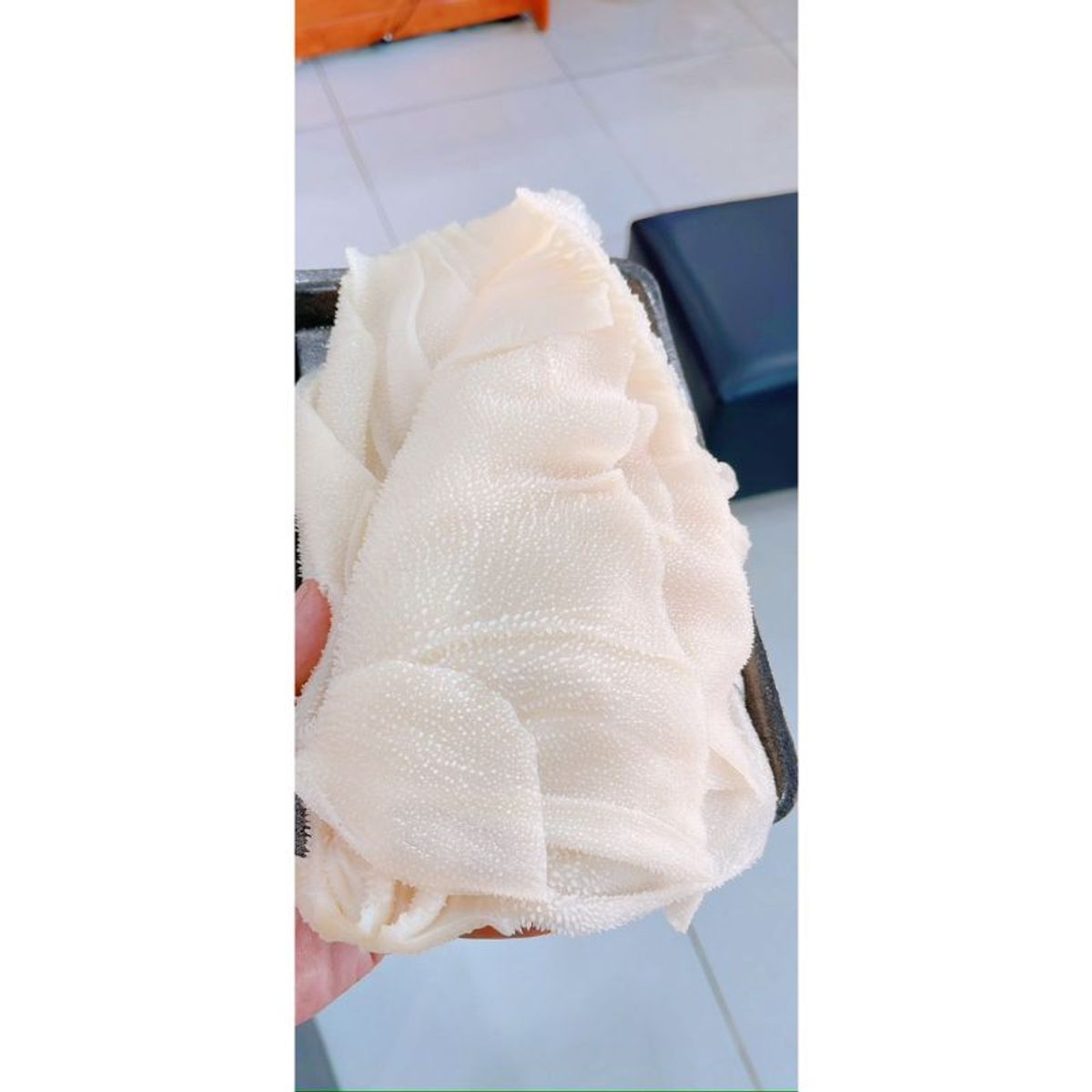 1kg Lá Sách Bò trắng,làm sạch,hấp chín,khay 1kg nét đủ 1kg Lá Sách Bò trắng,làm sạch,hấp chín,khay 1kg nét đủ