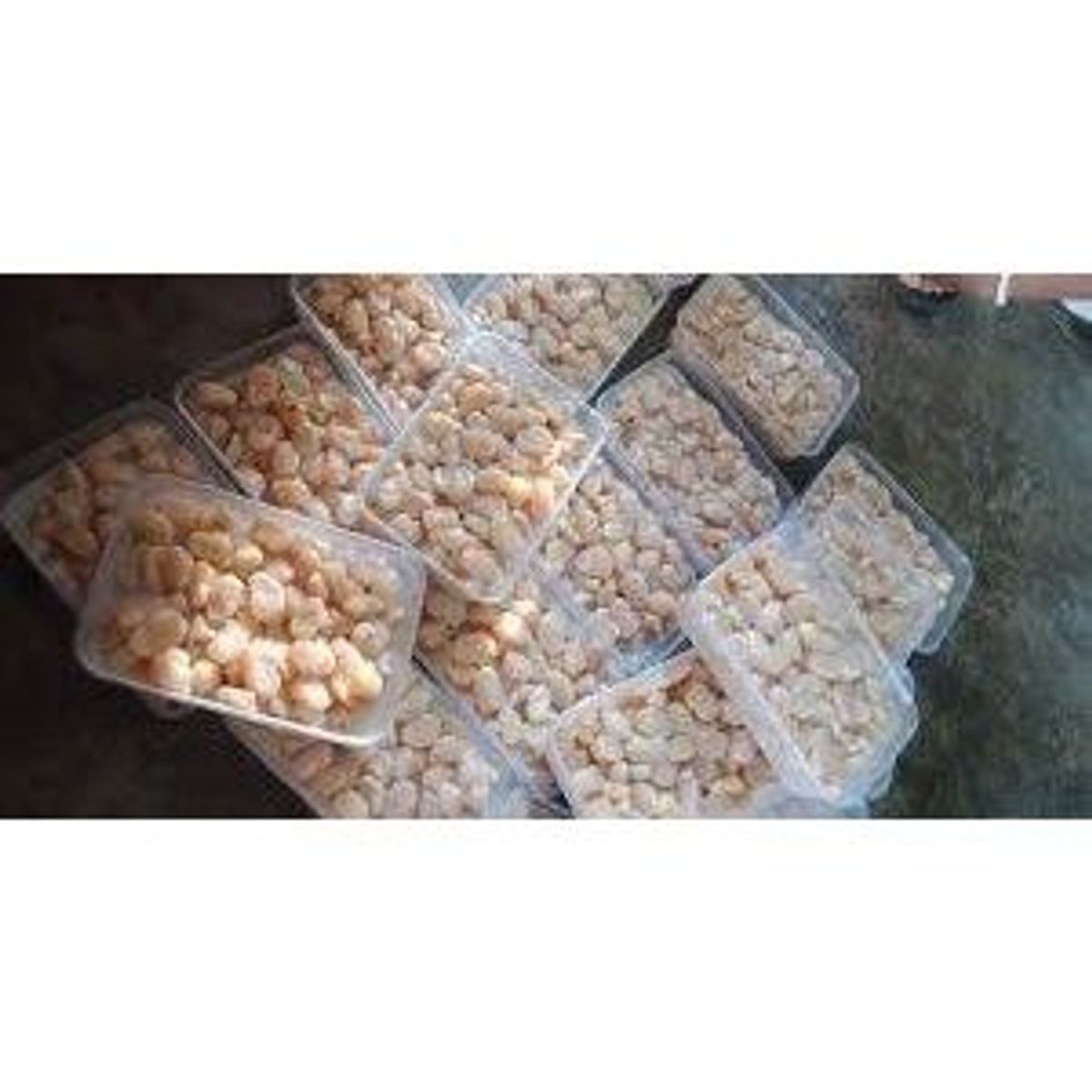 Còi sò điệp Việt Nam hộp 450gr (giao hỏa tốc tphcm) Còi sò điệp Việt Nam hộp 450gr (giao hỏa tốc tphcm)
