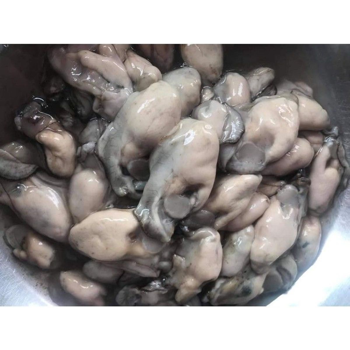 Hàu sữa tách vỏ tươi ngon bịch 500g (giao hỏa tốc TPHCM) Hàu sữa tách vỏ tươi ngon bịch 500g (giao hỏa tốc TPHCM)