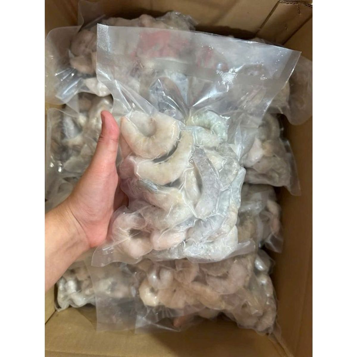 Tôm nõn bóc vỏ tươi ngon 500gr (giao hỏa tốc TPHCM) Tôm nõn bóc vỏ tươi ngon 500gr (giao hỏa tốc TPHCM)