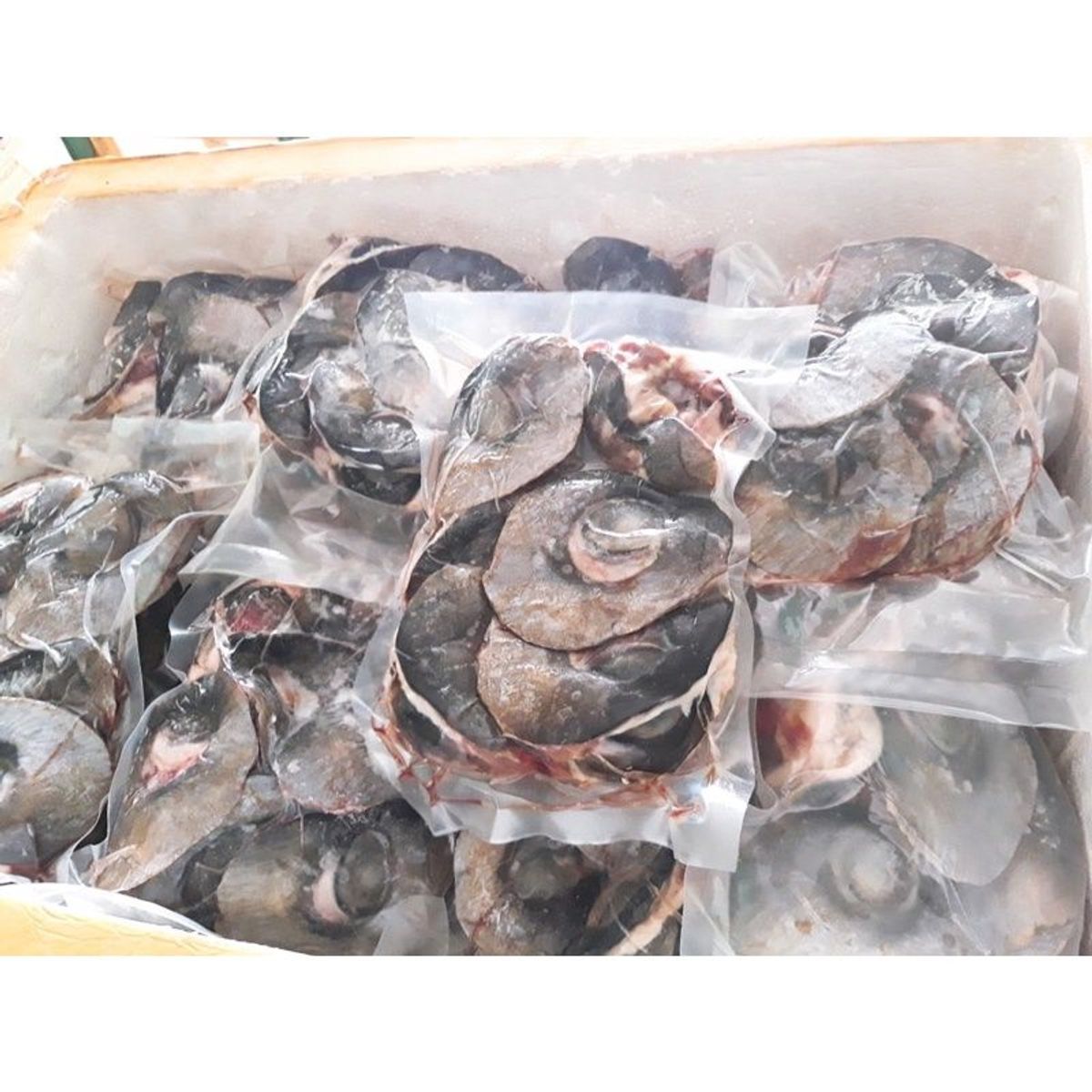Mắt cá ngừ đại dương-Đèn pha đại dương 1kg (giao tphcm) Mắt cá ngừ đại dương-Đèn pha đại dương 1kg (giao tphcm)