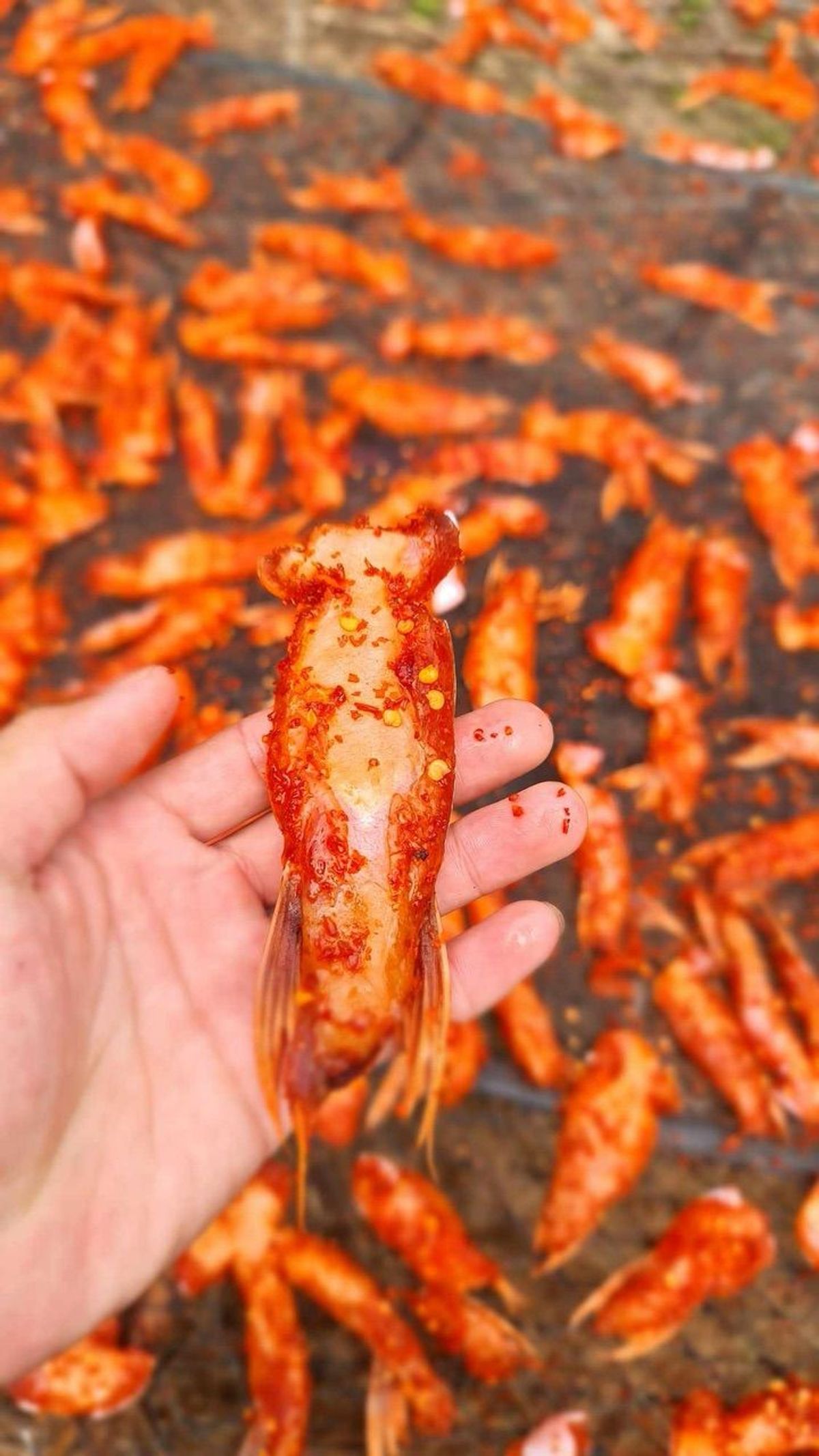 Khô ức cá basa 3 nắng tẩm vị vừa ăn 1kg (giao tphcm) Khô ức cá basa 3 nắng tẩm vị vừa ăn 1kg (giao tphcm)