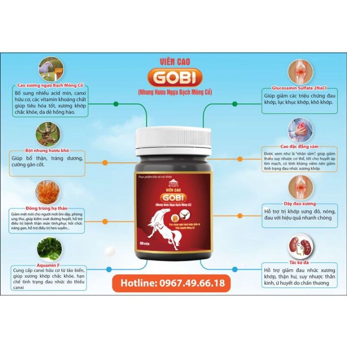Viên Cao Gobi nhung hươu, cao ngựa bạch Mông Cổ giúp giảm đau nhức xương khớp, tốt cho thận, tăng cường sức khỏe Viên Cao Gobi nhung hươu, cao ngựa bạch Mông Cổ giúp giảm đau nhức xương khớp, tốt cho thận, tăng cường sức khỏe