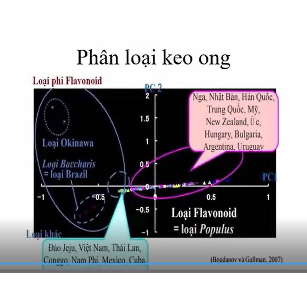 Chai xịt họng Antivir Keo ong xuyên tâm liên Vimos giúp hạn chế viêm lợi, nhiệt miệng, giảm ho,đau rát họng chai 30ml Chai xịt họng Antivir Keo ong xuyên tâm liên Vimos giúp hạn chế viêm lợi, nhiệt miệng, giảm ho,đau rát họng chai 30ml