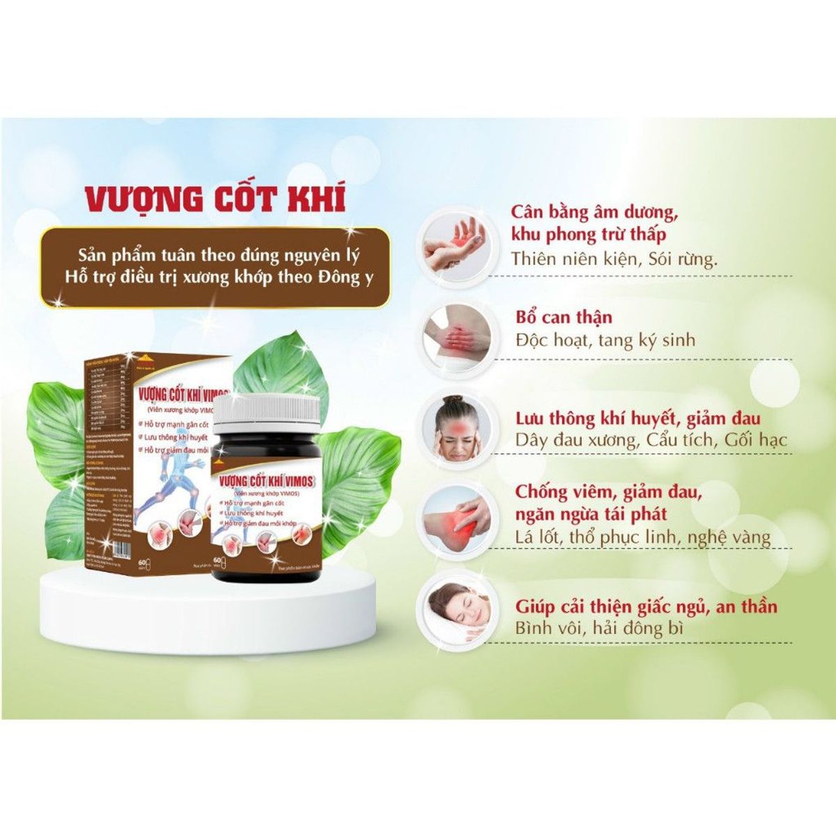 Viên uống xương khớp Vượng Cốt Khí Vimos hỗ trợ thoái hóa khớp, thoát vị đĩa đệm, đau thần kinh tọa Viên uống xương khớp Vượng Cốt Khí Vimos hỗ trợ thoái hóa khớp, thoát vị đĩa đệm, đau thần kinh tọa