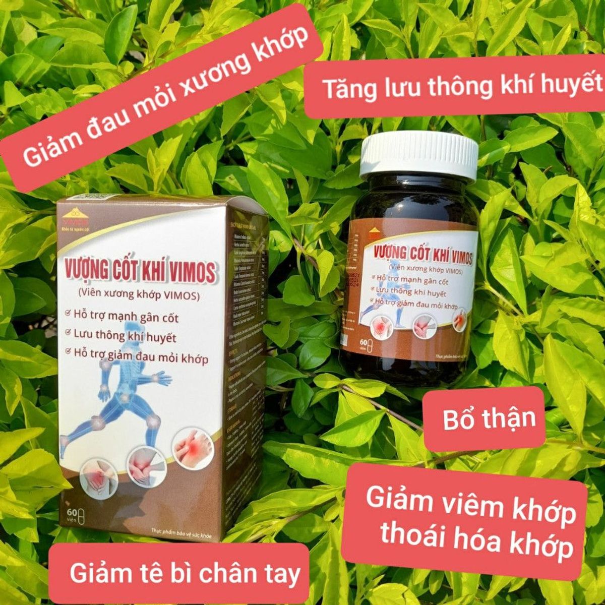 Viên uống xương khớp Vượng Cốt Khí Vimos hỗ trợ thoái hóa khớp, thoát vị đĩa đệm, đau thần kinh tọa Viên uống xương khớp Vượng Cốt Khí Vimos hỗ trợ thoái hóa khớp, thoát vị đĩa đệm, đau thần kinh tọa