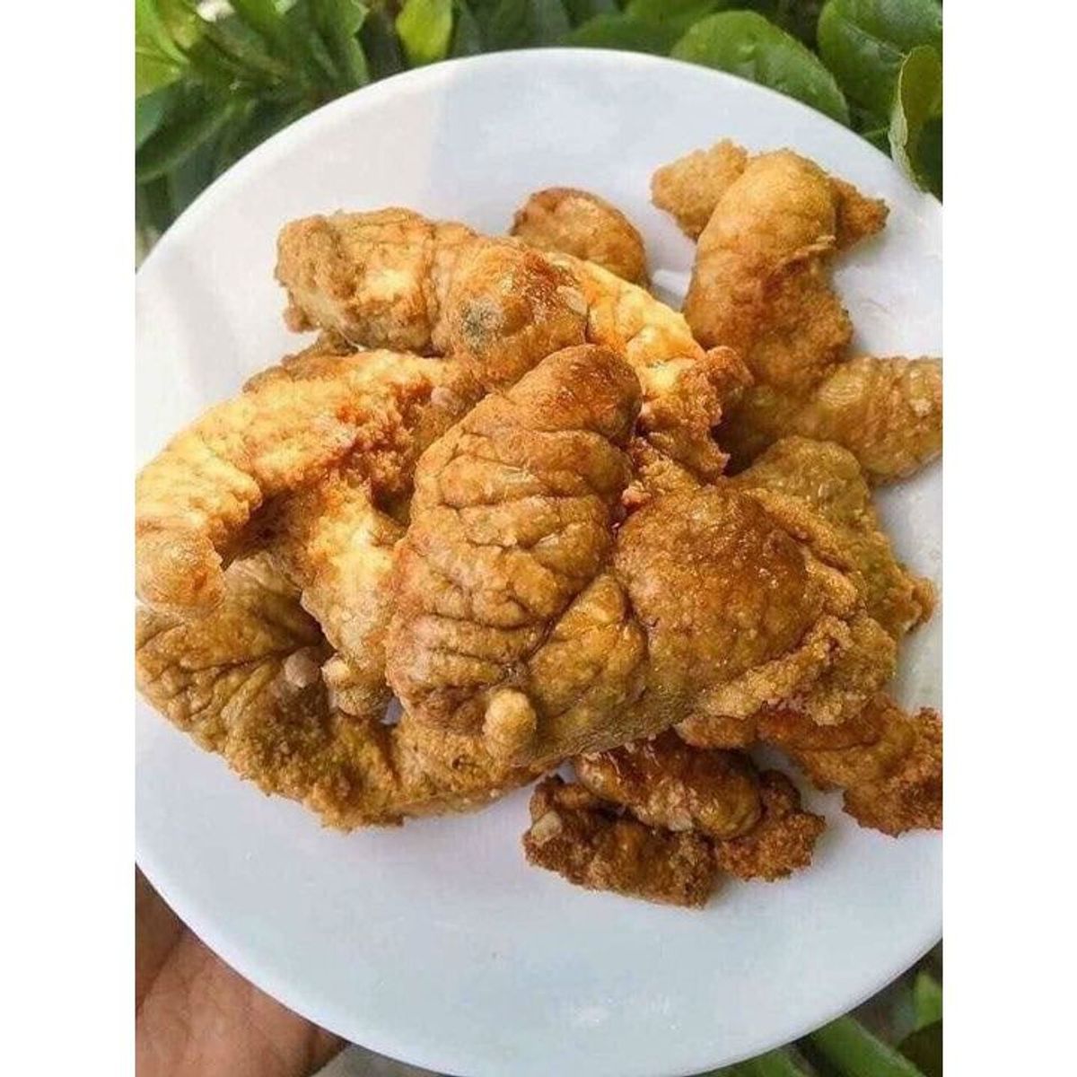 Trứng cá sặc bổi tươi ngon hộp 500gr (giao hỏa tốc TPHCM) Trứng cá sặc bổi tươi ngon hộp 500gr (giao hỏa tốc TPHCM)