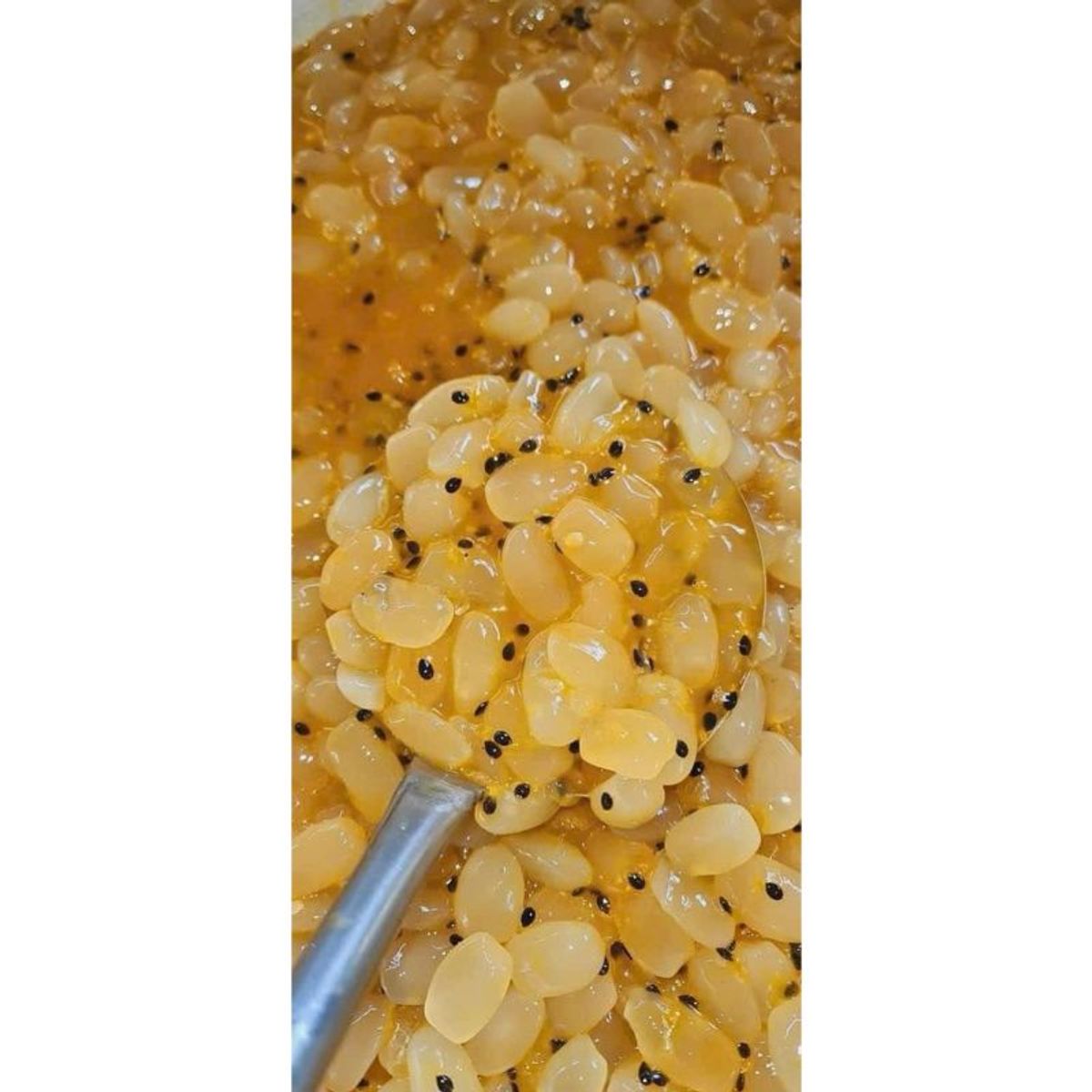 HẠT ĐÁC RIM CHANH DÂY hủ 1kg HẠT ĐÁC RIM CHANH DÂY hủ 1kg