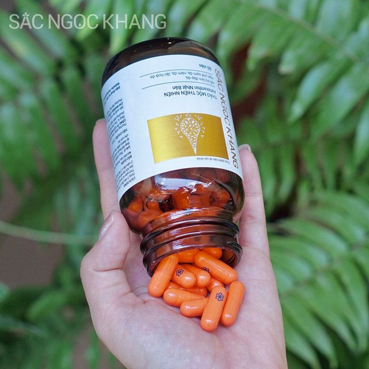 COMBO 03 Viên Uống Sắc Ngọc Khang Vi Tảo Lục [60 (Liệu trình 1 tháng) COMBO 03 Viên Uống Sắc Ngọc Khang Vi Tảo Lục [60 (Liệu trình 1 tháng)
