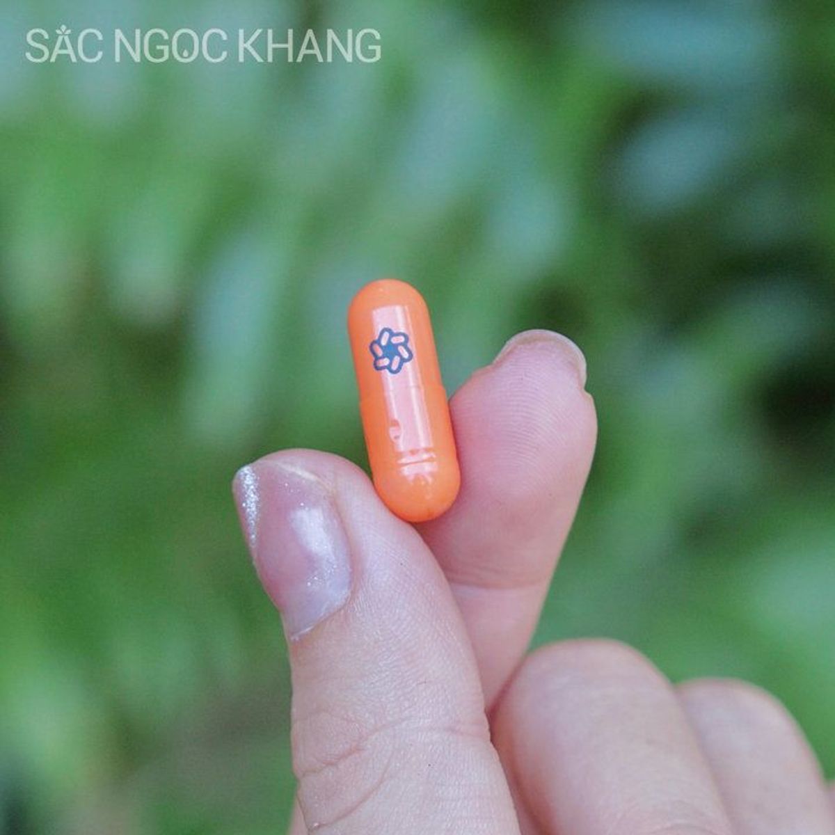 COMBO 03 Viên Uống Sắc Ngọc Khang Vi Tảo Lục [60 (Liệu trình 1 tháng) COMBO 03 Viên Uống Sắc Ngọc Khang Vi Tảo Lục [60 (Liệu trình 1 tháng)