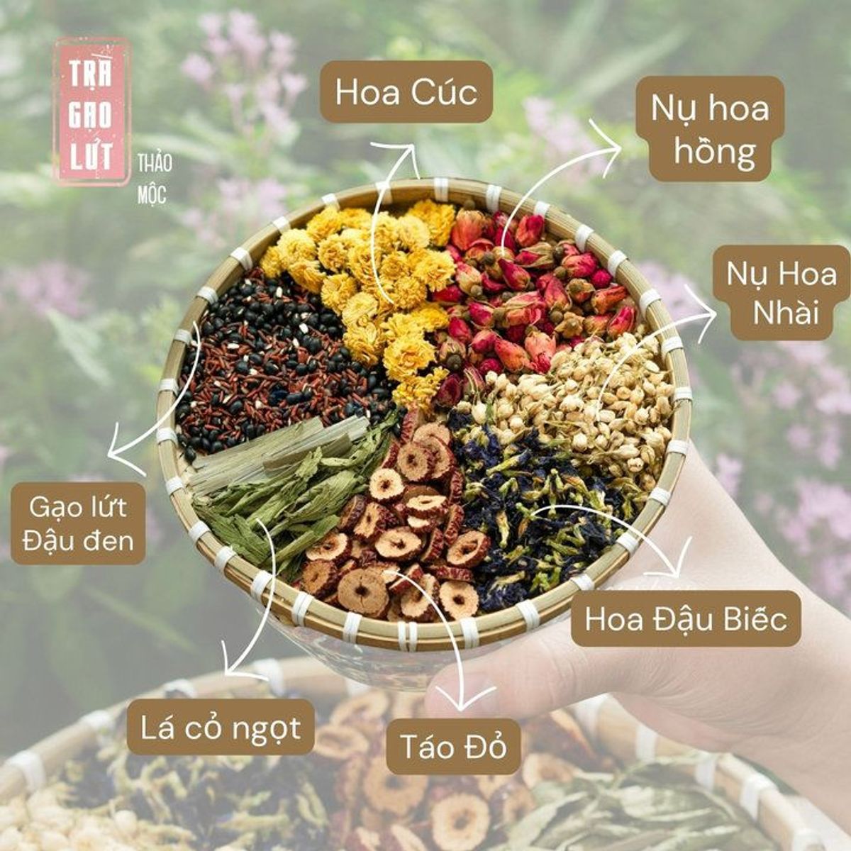 TRÀ GẠO LỨT ĐẬU ĐEN MIX 8 VỊ THẢO MỘC - BAMBOO TRÀ GẠO LỨT ĐẬU ĐEN MIX 8 VỊ THẢO MỘC - BAMBOO