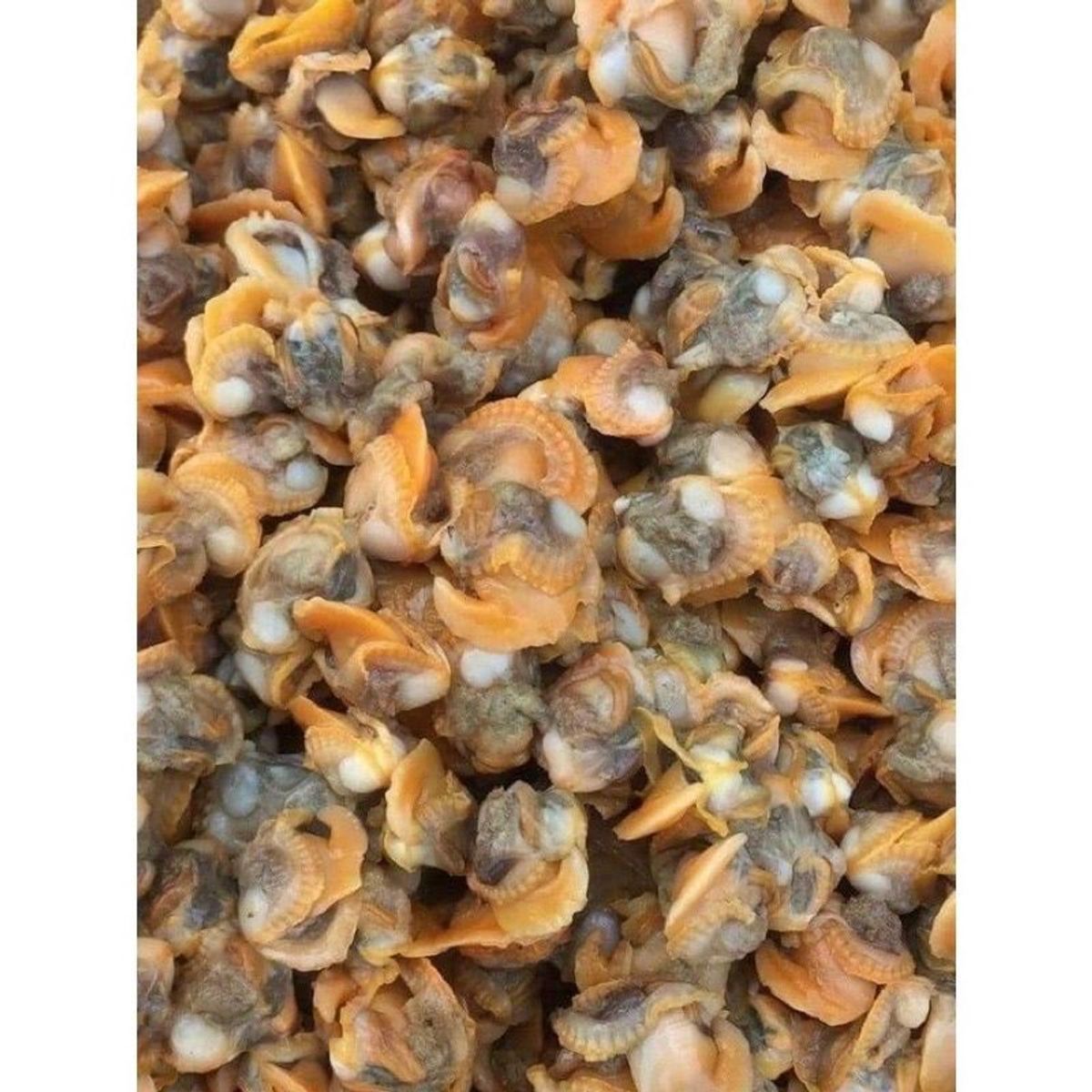 Ruột sò huyết làm sạch 500gr (giao hỏa tốc TPHCM) Ruột sò huyết làm sạch 500gr (giao hỏa tốc TPHCM)
