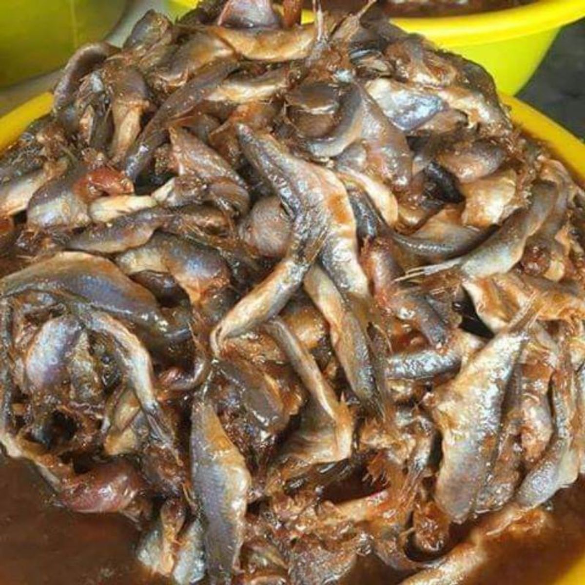 Mắm cá Linh 500g, đặc sản miền sông nước, siêu ngon - CTB702 Mắm cá Linh 500g, đặc sản miền sông nước, siêu ngon - CTB702