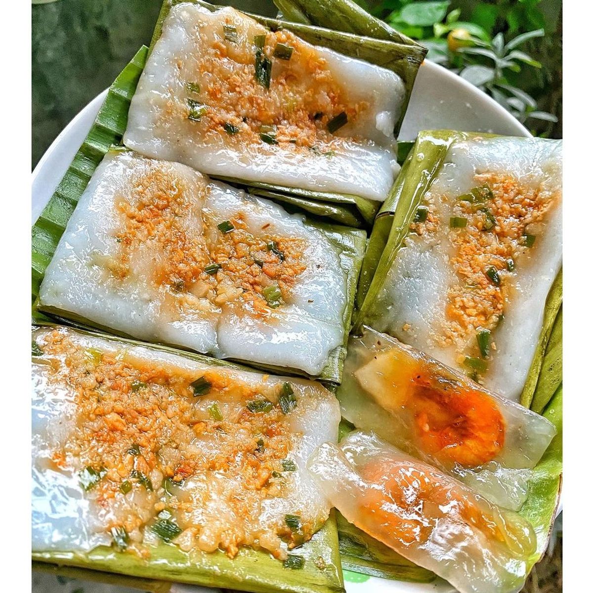 Set 50, 100 bánh nậm Huế thơm ngon, mềm mịn, thoang thoảng vị tôm, chuẩn Huế - CTB708 Set 50, 100 bánh nậm Huế thơm ngon, mềm mịn, thoang thoảng vị tôm, chuẩn Huế - CTB708