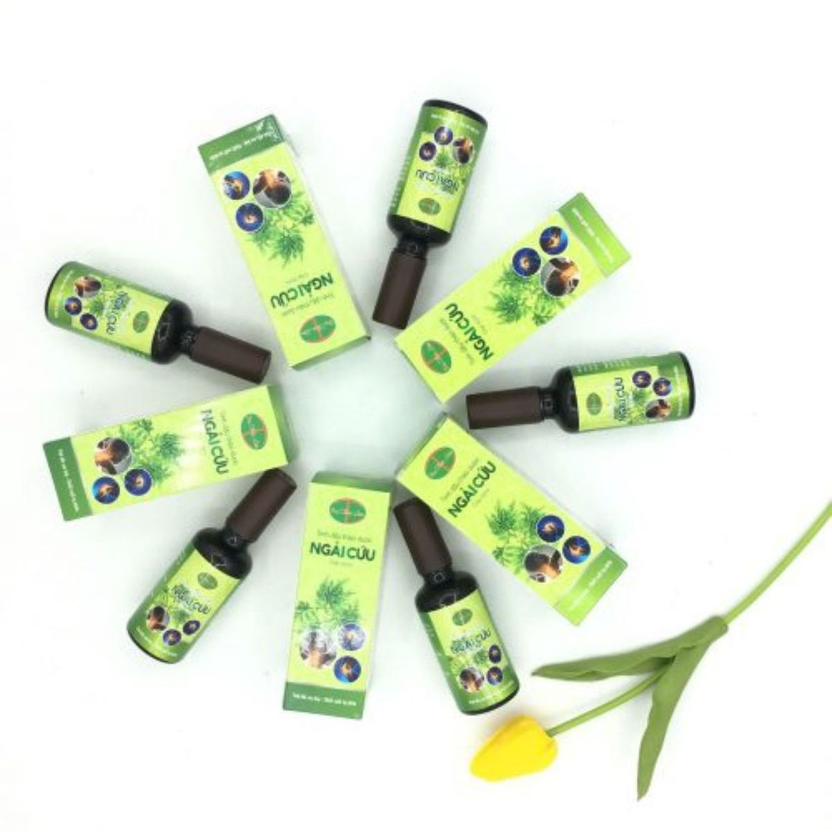 TINH DẦU NGẢI CỨU - DẠ THẢO LIÊN TINH DẦU NGẢI CỨU - DẠ THẢO LIÊN