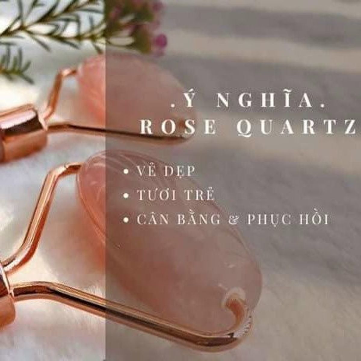 CÂY LĂN THẠCH ANH HỒNG CHUẨN THIÊN NHIÊN MATXA - THẮNG GIANG CÂY LĂN THẠCH ANH HỒNG CHUẨN THIÊN NHIÊN MATXA - THẮNG GIANG