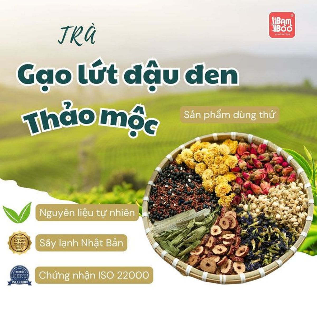 TRÀ THẢO MỘC AN THẦN NGỦ NGON GÓI DÙNG THỬ - BAMBOO TRÀ THẢO MỘC AN THẦN NGỦ NGON GÓI DÙNG THỬ - BAMBOO