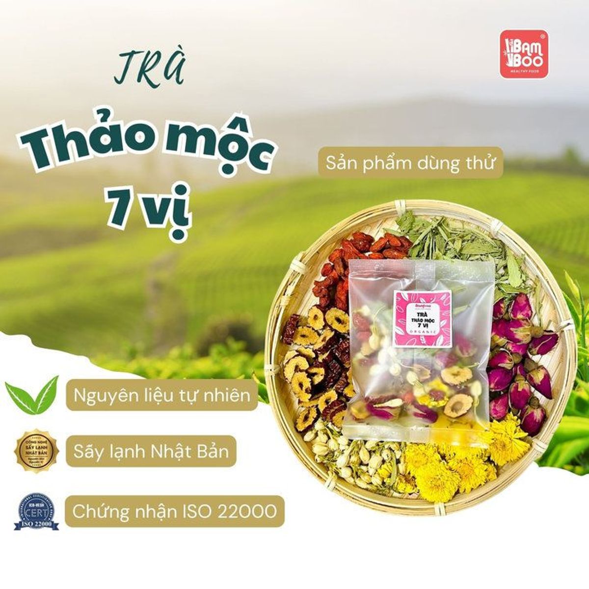 TRÀ THẢO MỘC AN THẦN NGỦ NGON GÓI DÙNG THỬ - BAMBOO TRÀ THẢO MỘC AN THẦN NGỦ NGON GÓI DÙNG THỬ - BAMBOO