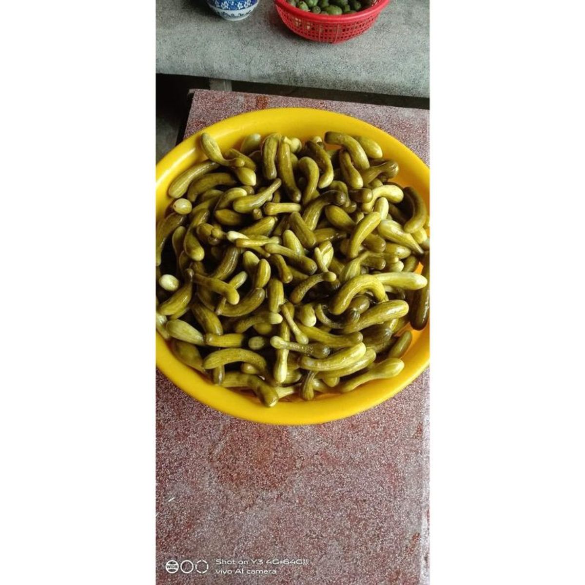 1kg Mắm Dưa Leo Nụ nguyên trái nhà làm chưa trộn 1kg 1kg Mắm Dưa Leo Nụ nguyên trái nhà làm chưa trộn 1kg