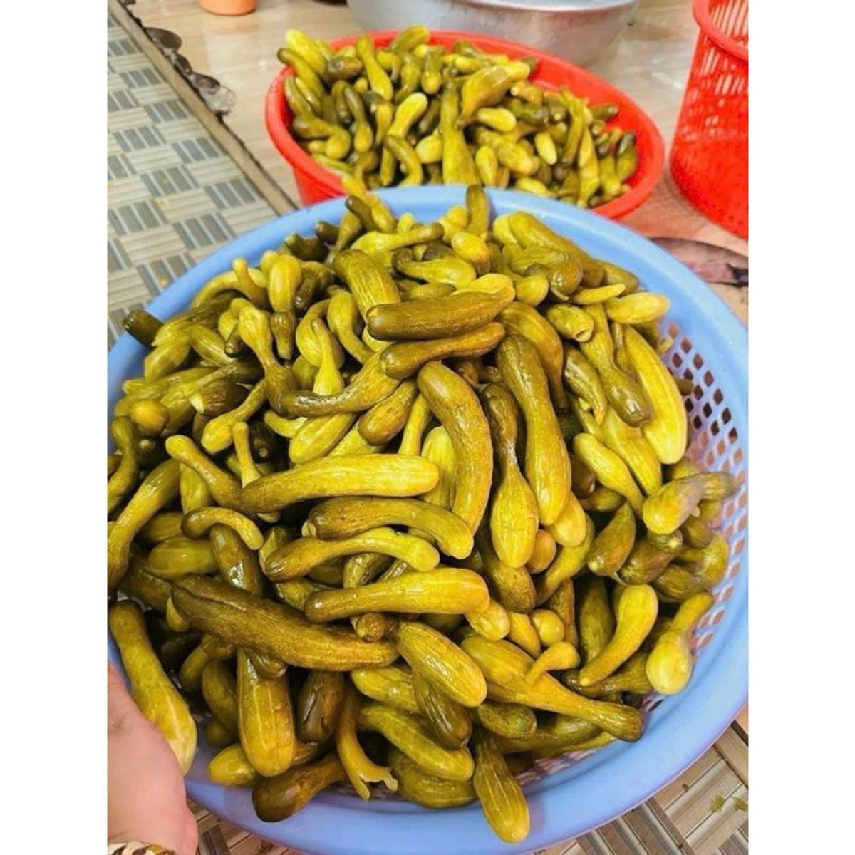 1kg Mắm Dưa Leo Nụ nguyên trái nhà làm chưa trộn 1kg 1kg Mắm Dưa Leo Nụ nguyên trái nhà làm chưa trộn 1kg