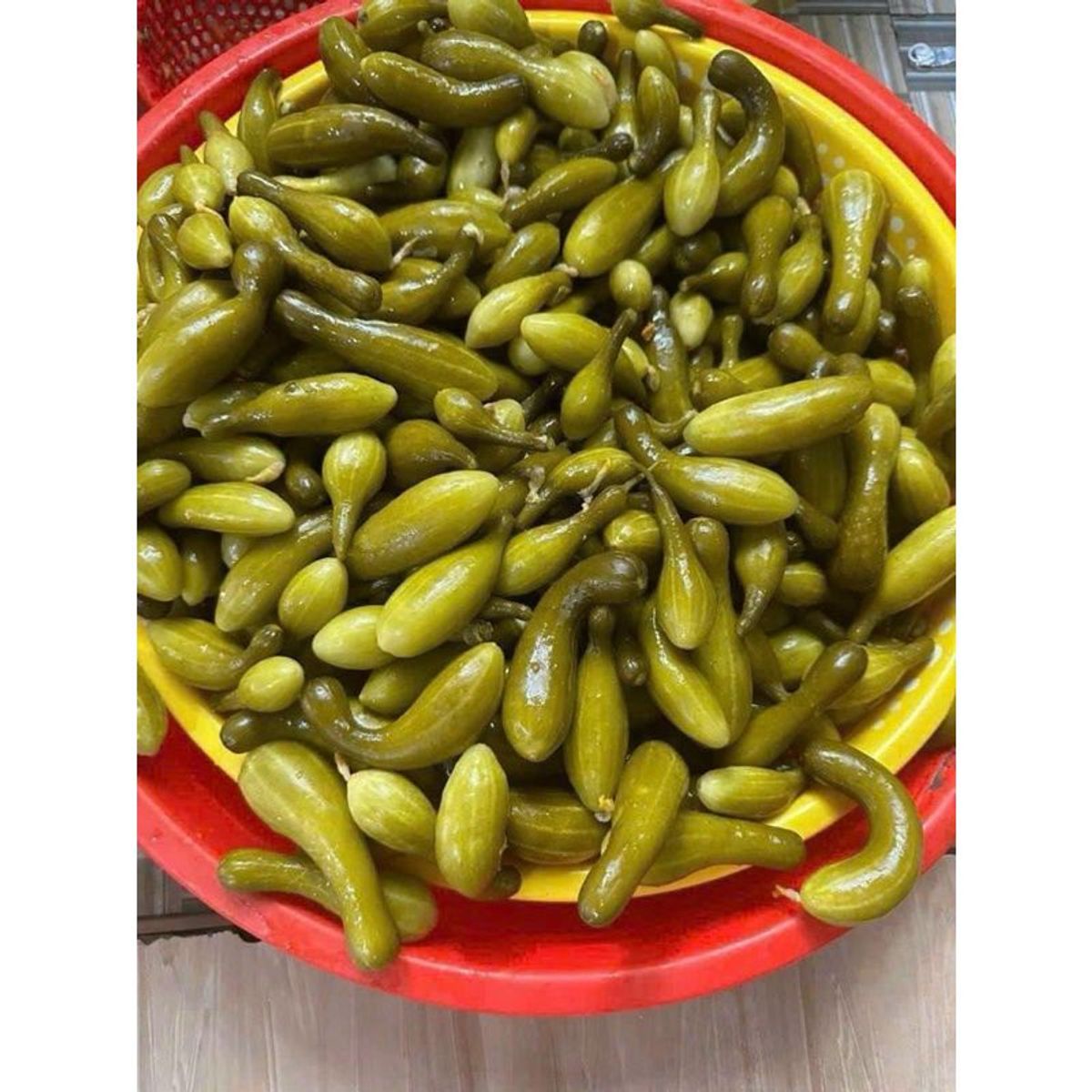 1kg Mắm Dưa Leo Nụ nguyên trái nhà làm chưa trộn 1kg 1kg Mắm Dưa Leo Nụ nguyên trái nhà làm chưa trộn 1kg
