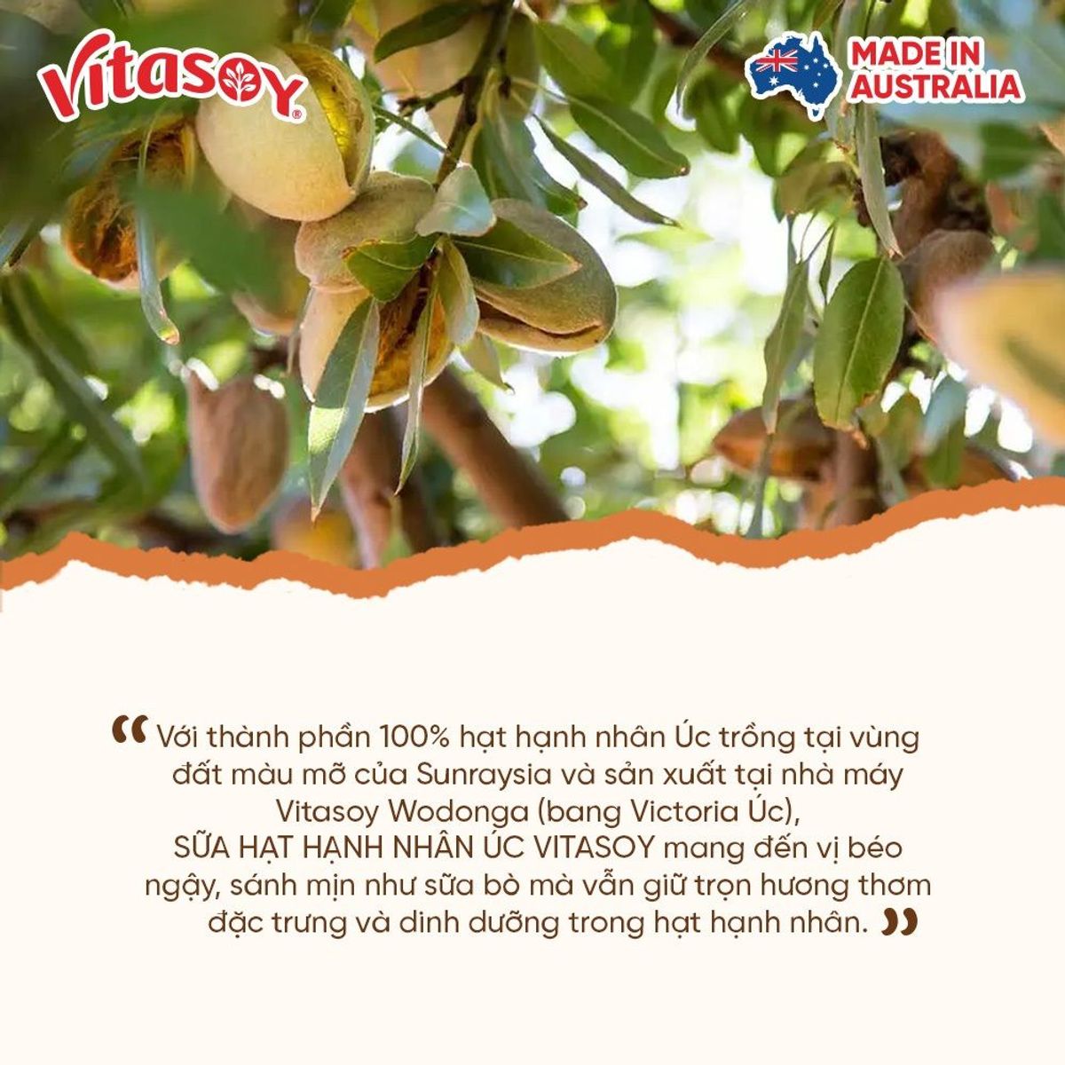Sữa hạt hạnh nhân Vitasoy Almond Milky hộp 1L Sữa hạt hạnh nhân Vitasoy Almond Milky hộp 1L
