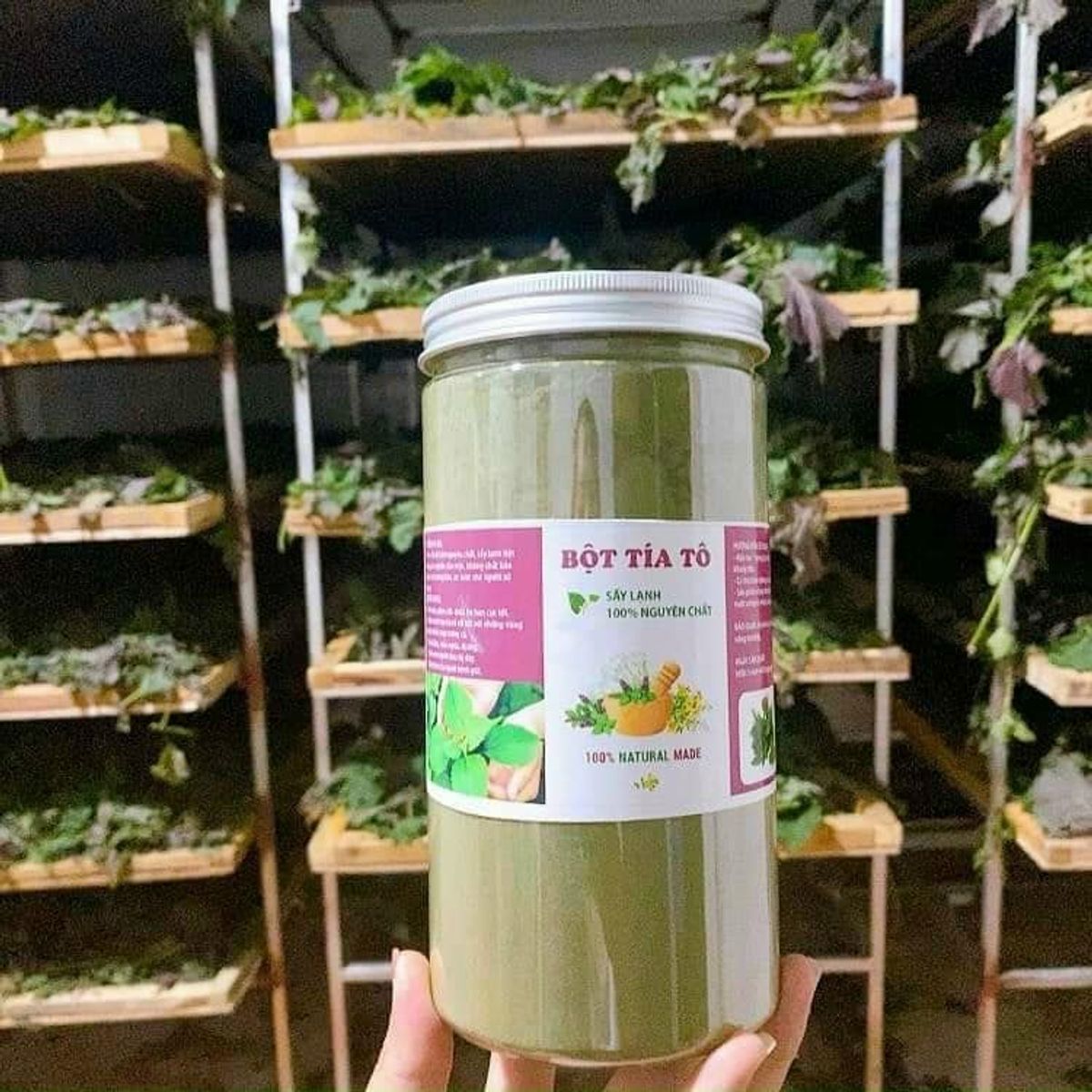 Bột tía tô sấy lạnh nguyên chất 100%, bột lá tía tô nguyên chất, thơm ngon, xịn mịn hủ 500g - CTB747 Bột tía tô sấy lạnh nguyên chất 100%, bột lá tía tô nguyên chất, thơm ngon, xịn mịn hủ 500g - CTB747