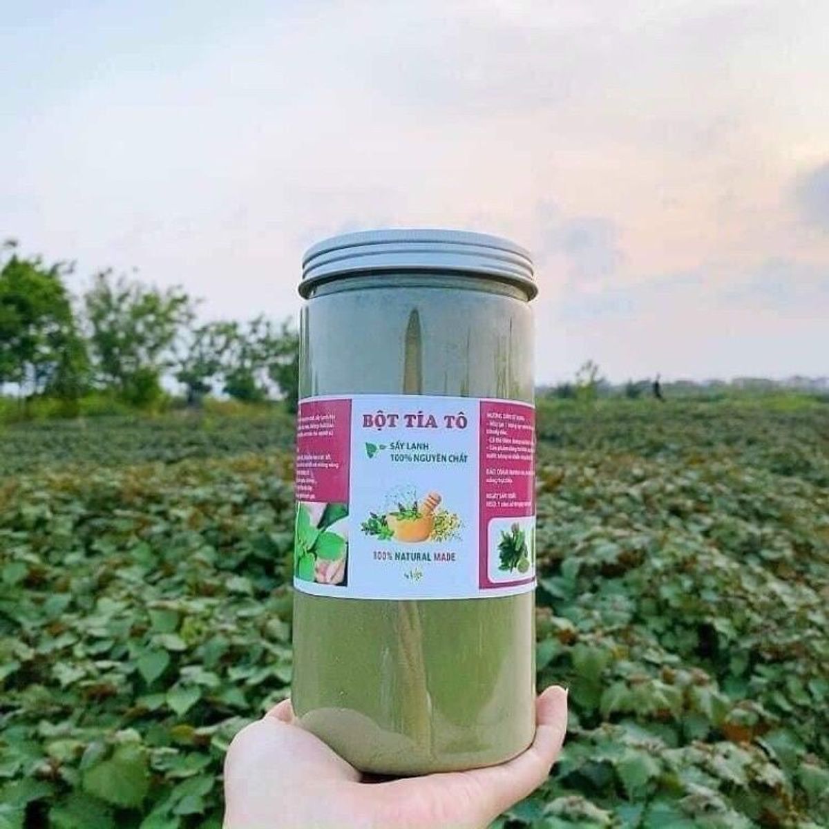 Bột tía tô sấy lạnh nguyên chất 100%, bột lá tía tô nguyên chất, thơm ngon, xịn mịn hủ 500g - CTB747 Bột tía tô sấy lạnh nguyên chất 100%, bột lá tía tô nguyên chất, thơm ngon, xịn mịn hủ 500g - CTB747