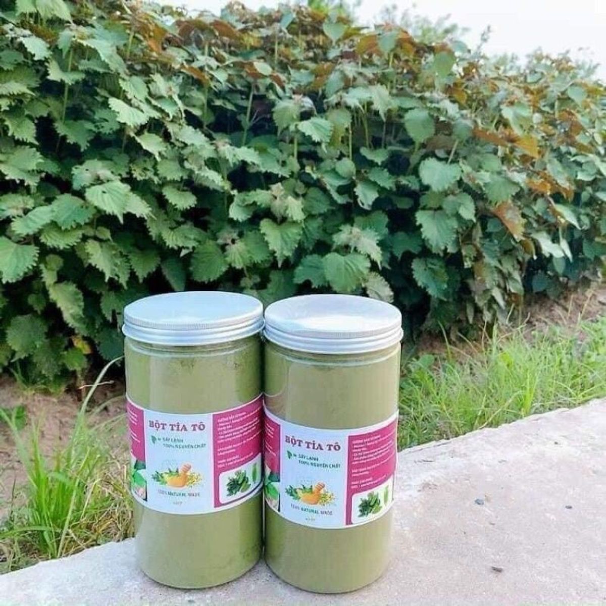 Bột tía tô sấy lạnh nguyên chất 100%, bột lá tía tô nguyên chất, thơm ngon, xịn mịn hủ 500g - CTB747 Bột tía tô sấy lạnh nguyên chất 100%, bột lá tía tô nguyên chất, thơm ngon, xịn mịn hủ 500g - CTB747