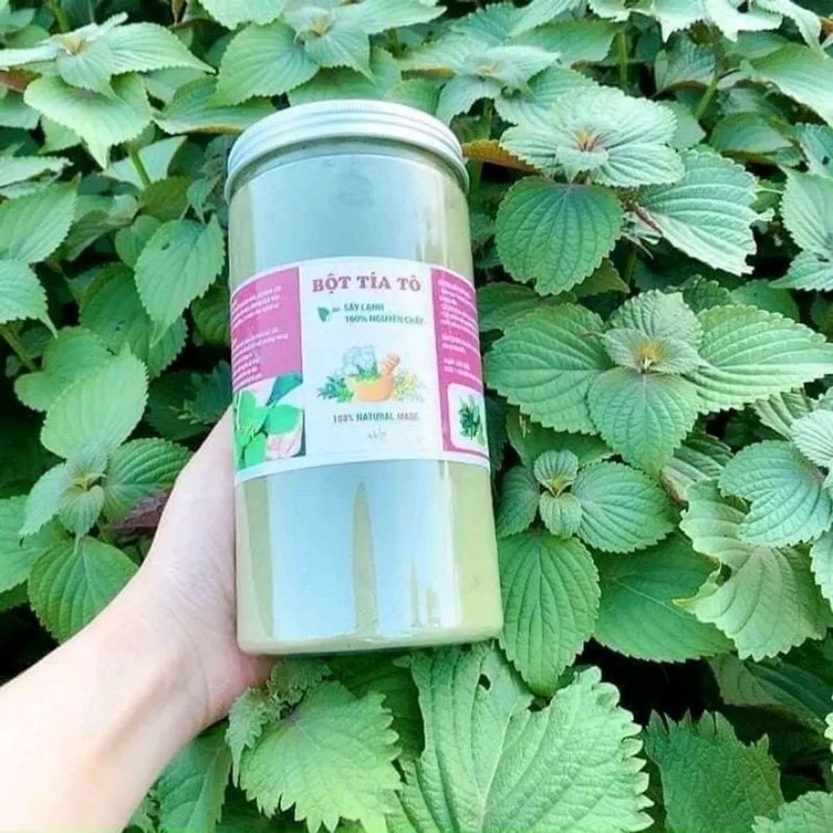 Bột tía tô sấy lạnh nguyên chất 100%, bột lá tía tô nguyên chất, thơm ngon, xịn mịn hủ 500g - CTB747 Bột tía tô sấy lạnh nguyên chất 100%, bột lá tía tô nguyên chất, thơm ngon, xịn mịn hủ 500g - CTB747