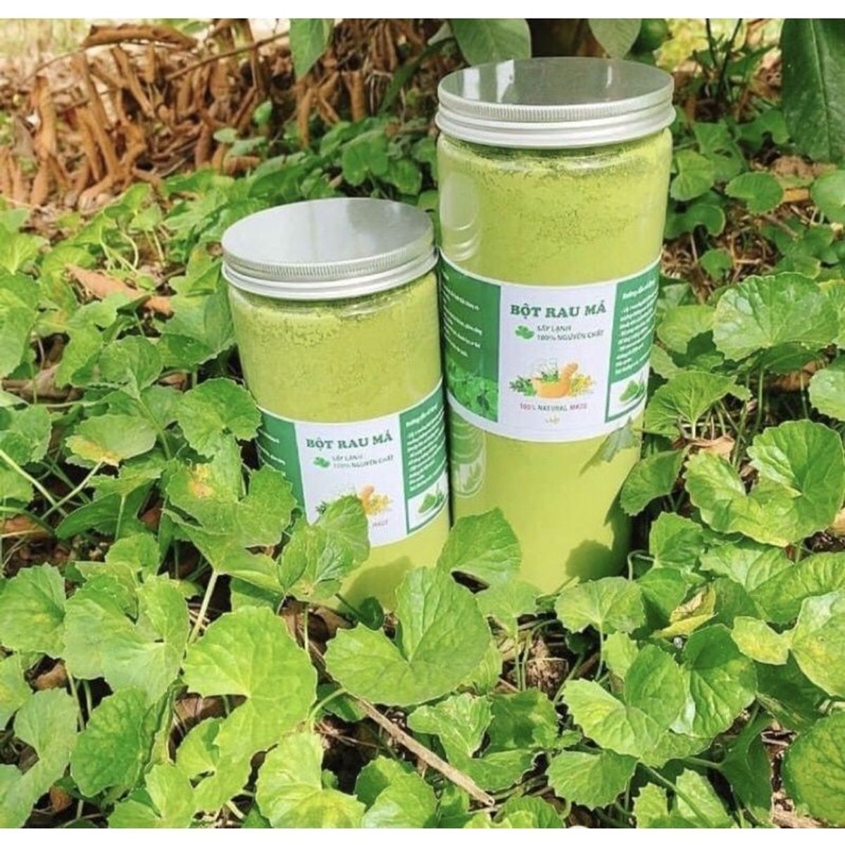 Bột rau má sấy lạnh nguyên nhất (500g), thanh nhiệt, giải độc cơ thể, giảm mụn nhọt, thâm nám, táo bón - CTB745 Bột rau má sấy lạnh nguyên nhất (500g), thanh nhiệt, giải độc cơ thể, giảm mụn nhọt, thâm nám, táo bón - CTB745
