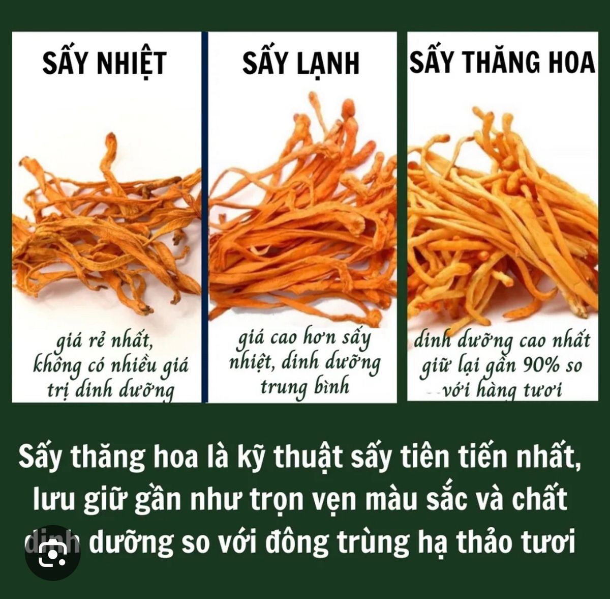Viên uống Đông Trùng Hạ Thảo Mật Ong tăng cường sức đề kháng, giúp ăn ngon, ngủ sâu giấc Viên uống Đông Trùng Hạ Thảo Mật Ong tăng cường sức đề kháng, giúp ăn ngon, ngủ sâu giấc