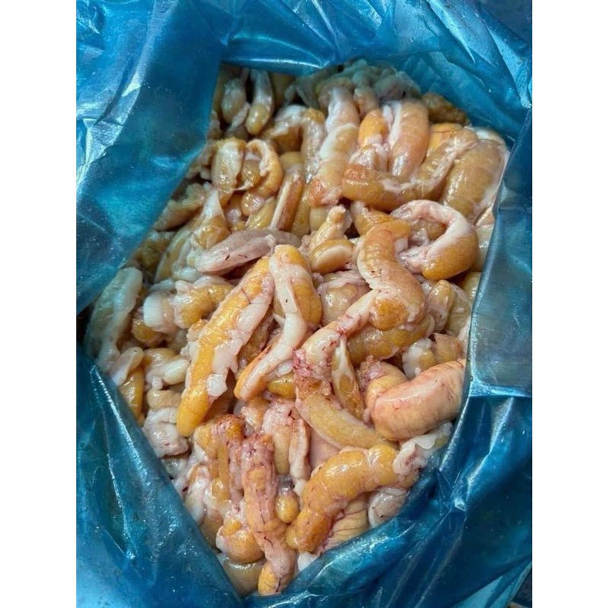 Trứng cá Lóc hộp 500g (giao tphcm) Trứng cá Lóc hộp 500g (giao tphcm)