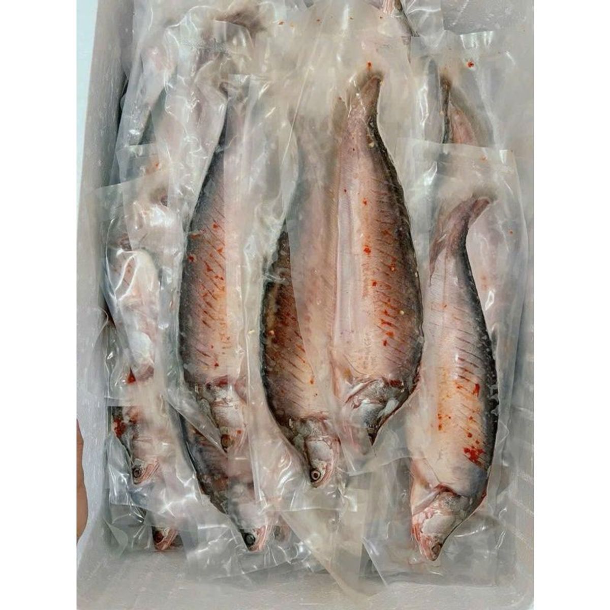 1kg Cá thác lác rút xương tẩm vị 3-4 con (giao hỏa tốc TPHCM) 1kg Cá thác lác rút xương tẩm vị 3-4 con (giao hỏa tốc TPHCM)