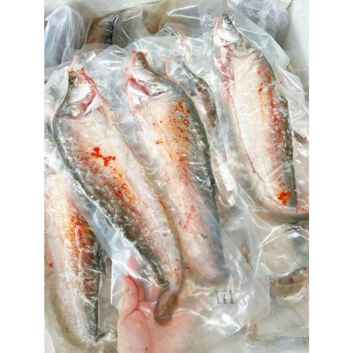 1kg Cá thác lác rút xương tẩm vị 3-4 con (giao hỏa tốc TPHCM) 1kg Cá thác lác rút xương tẩm vị 3-4 con (giao hỏa tốc TPHCM)