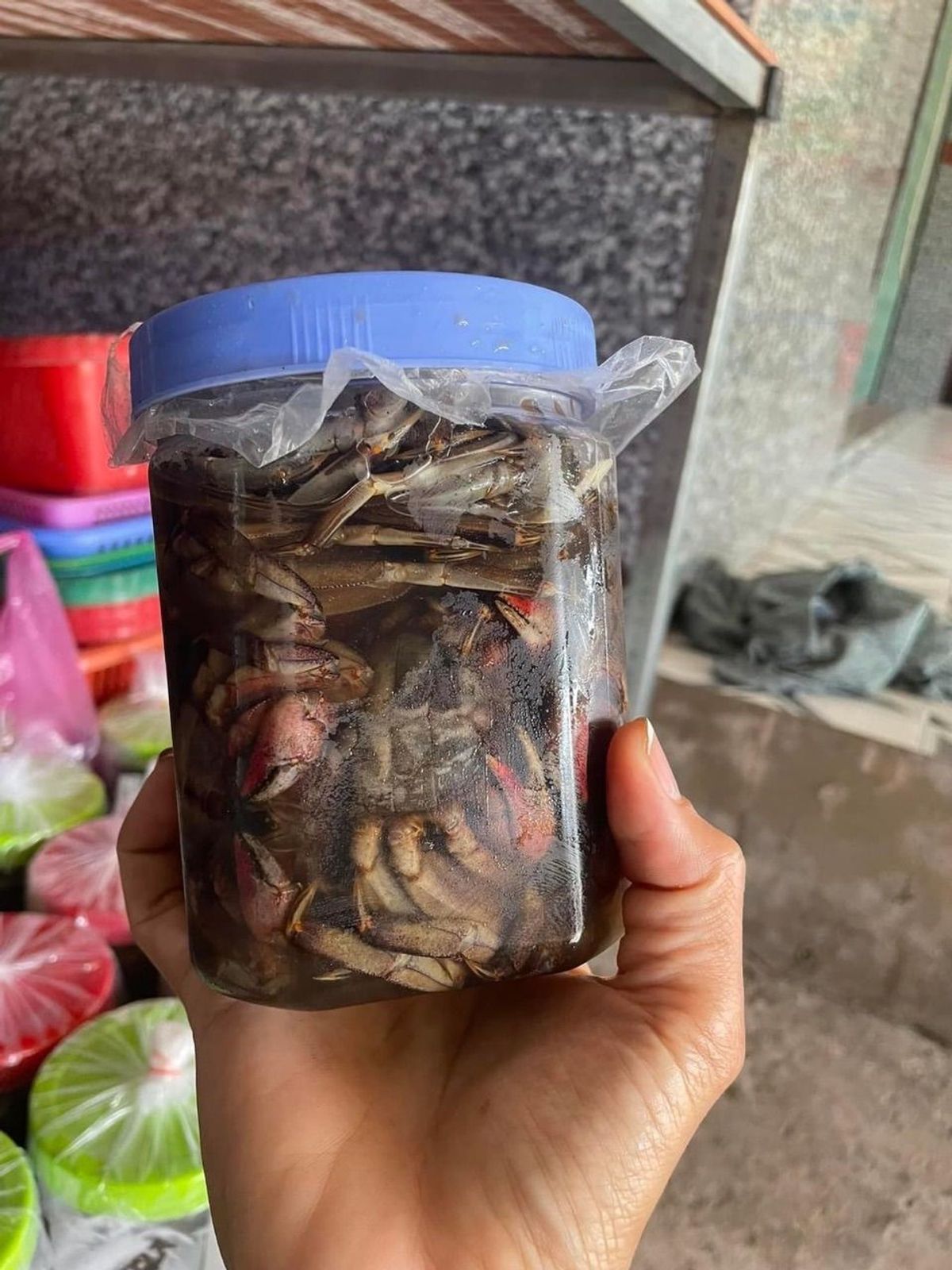 MẤM BA KHÍA MUỐI MẶN - VỰA KHÔ BẾN TRE MẤM BA KHÍA MUỐI MẶN - VỰA KHÔ BẾN TRE