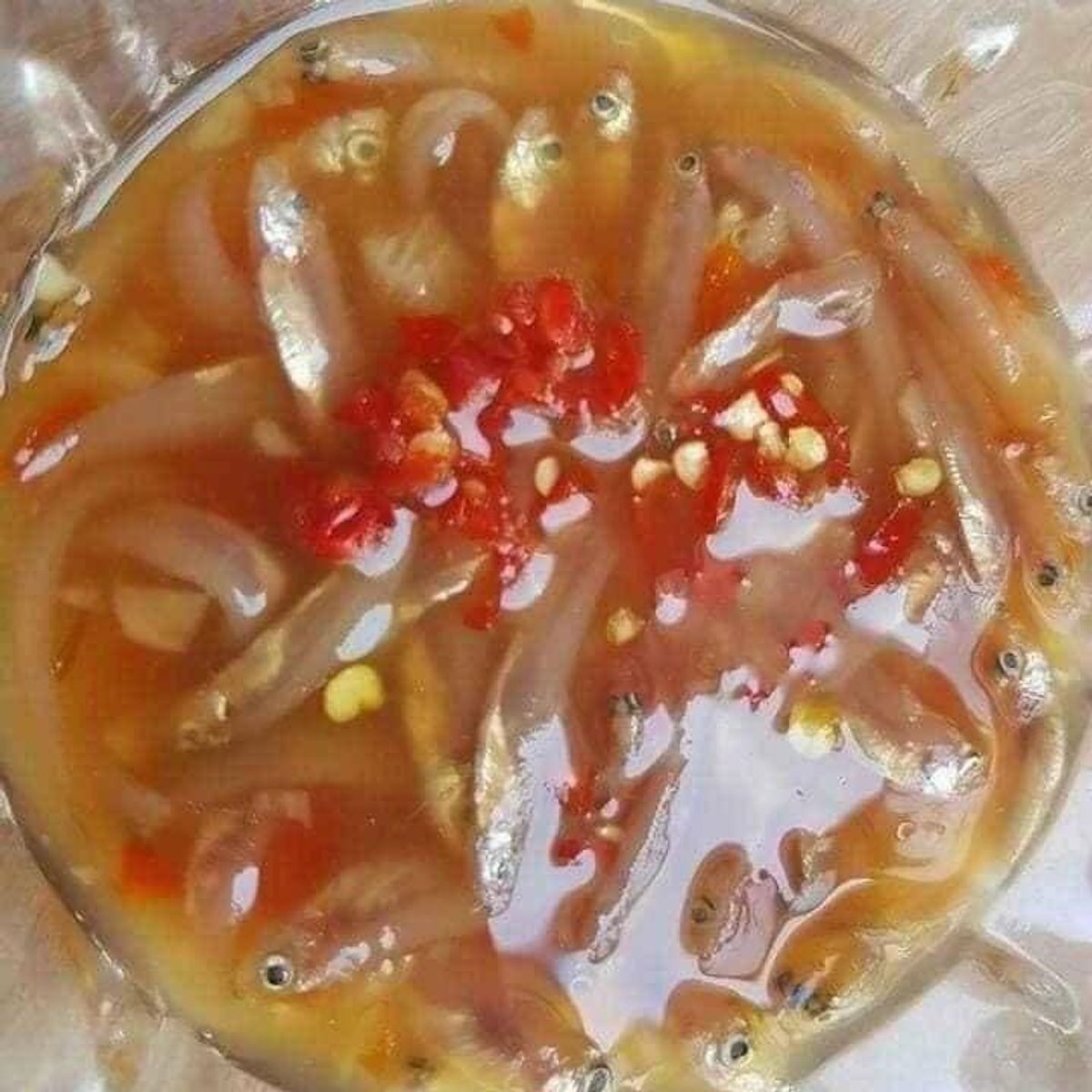 MẮM CÁ CƠM CHƯA TRỘN ĐU ĐỦ 500G - VỰA KHÔ BẾN TRE MẮM CÁ CƠM CHƯA TRỘN ĐU ĐỦ 500G - VỰA KHÔ BẾN TRE