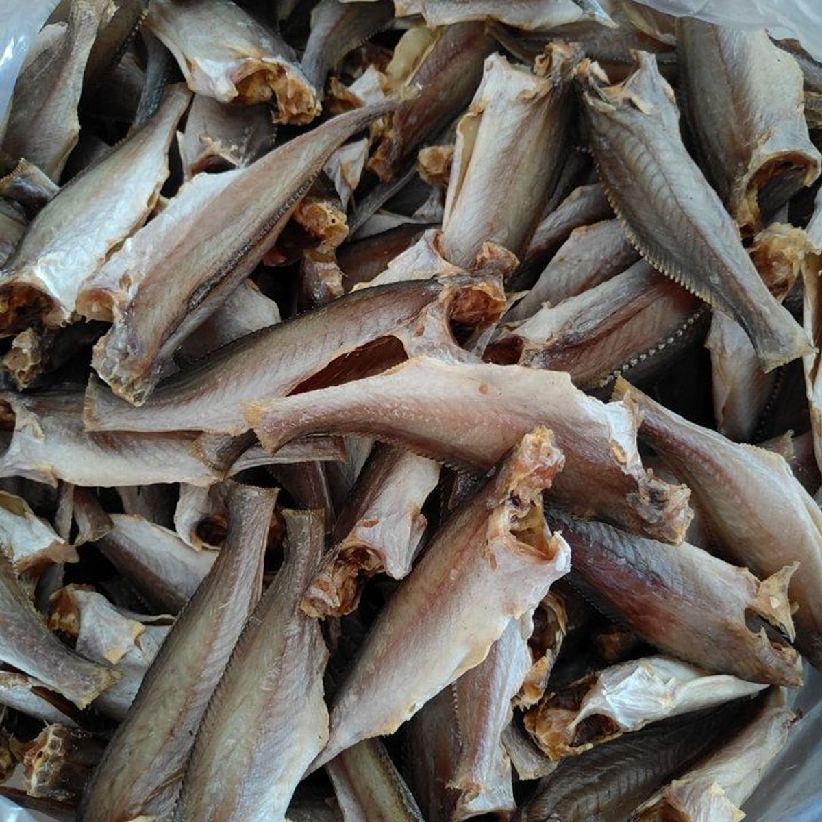 KHÔ CÁ ĐÙ VỊ LẠT, VỊ MẶN NHẸ VỪA ĂN - VỰA KHÔ BẾN TRE KHÔ CÁ ĐÙ VỊ LẠT, VỊ MẶN NHẸ VỪA ĂN - VỰA KHÔ BẾN TRE