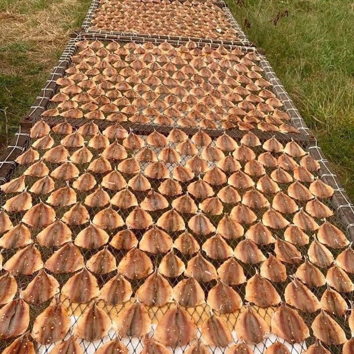 500G KHÔ CÁ CHỈ VÀNG RÚT XƯƠNG - VỰA KHÔ BẾN TRE 500G KHÔ CÁ CHỈ VÀNG RÚT XƯƠNG - VỰA KHÔ BẾN TRE