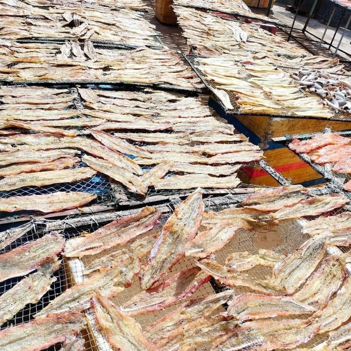 KHÔ CÁ MỐI XẺ ƯỚP VỊ VỪA ĂN 500G - VỰA KHÔ BẾN TRE KHÔ CÁ MỐI XẺ ƯỚP VỊ VỪA ĂN 500G - VỰA KHÔ BẾN TRE