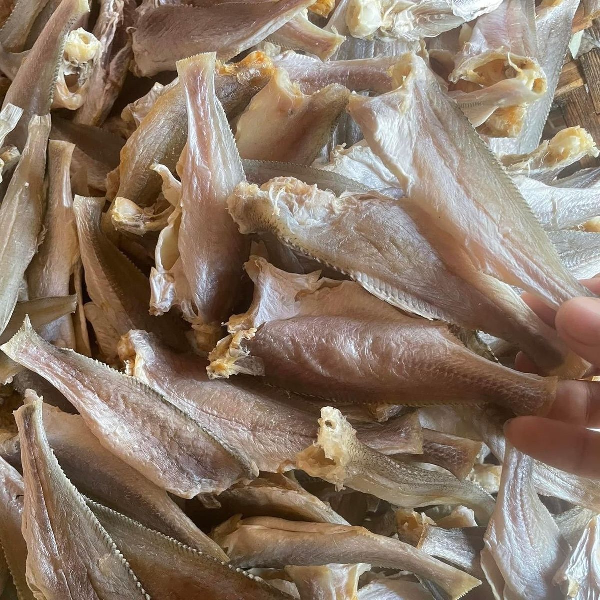 KHÔ CÁ ĐÙ ƯỚP MẶN VỪA ĂN 500G - VỰA KHÔ BẾN TRE KHÔ CÁ ĐÙ ƯỚP MẶN VỪA ĂN 500G - VỰA KHÔ BẾN TRE
