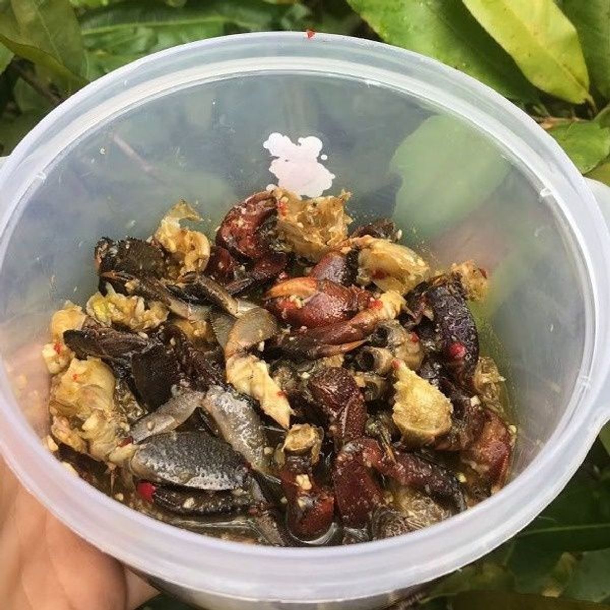 MẤM BA KHÍA MUỐI MẶN - VỰA KHÔ BẾN TRE MẤM BA KHÍA MUỐI MẶN - VỰA KHÔ BẾN TRE