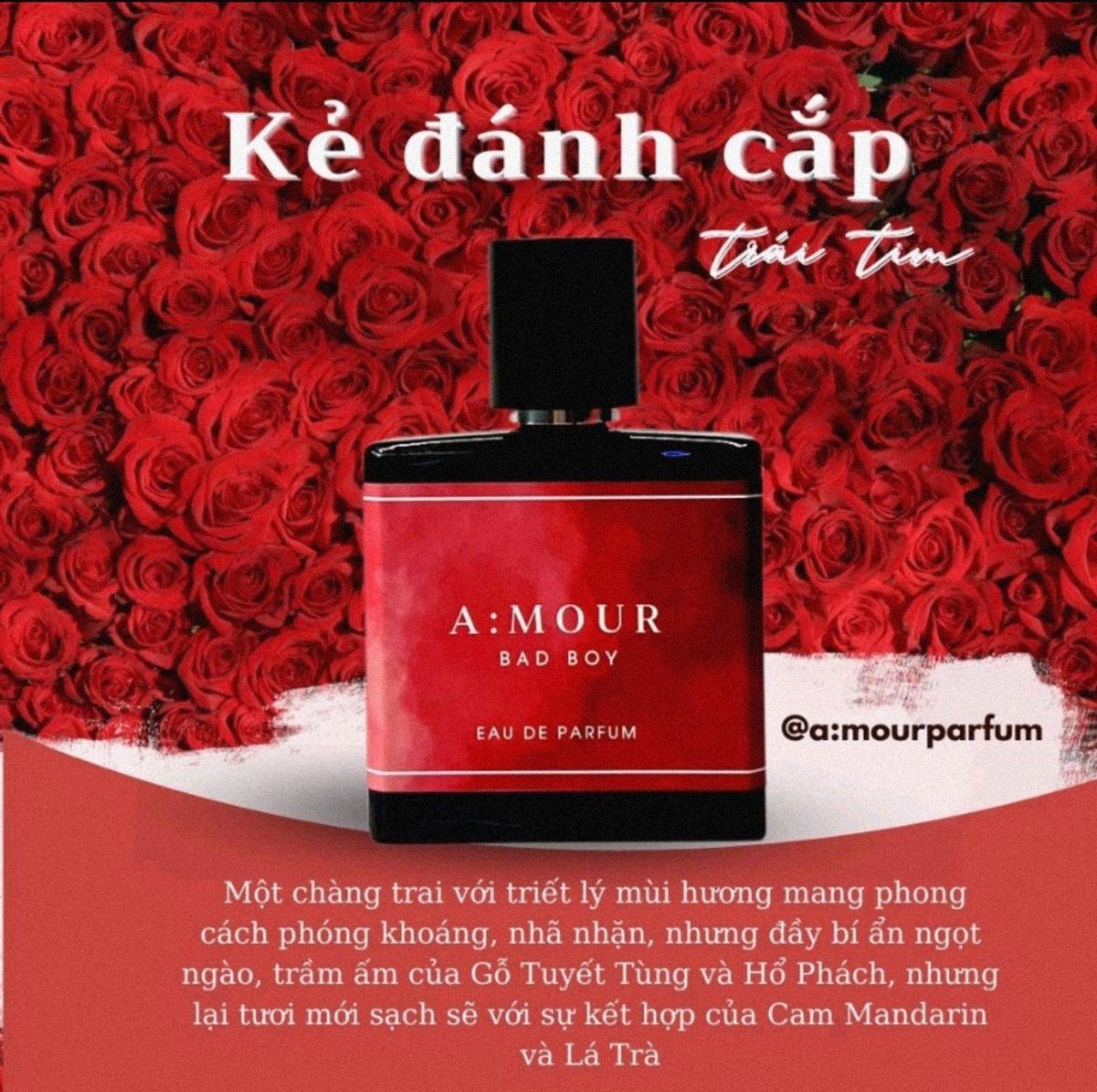 NƯỚC HOA A:MOUR BAD GIRL MÙI GÌ